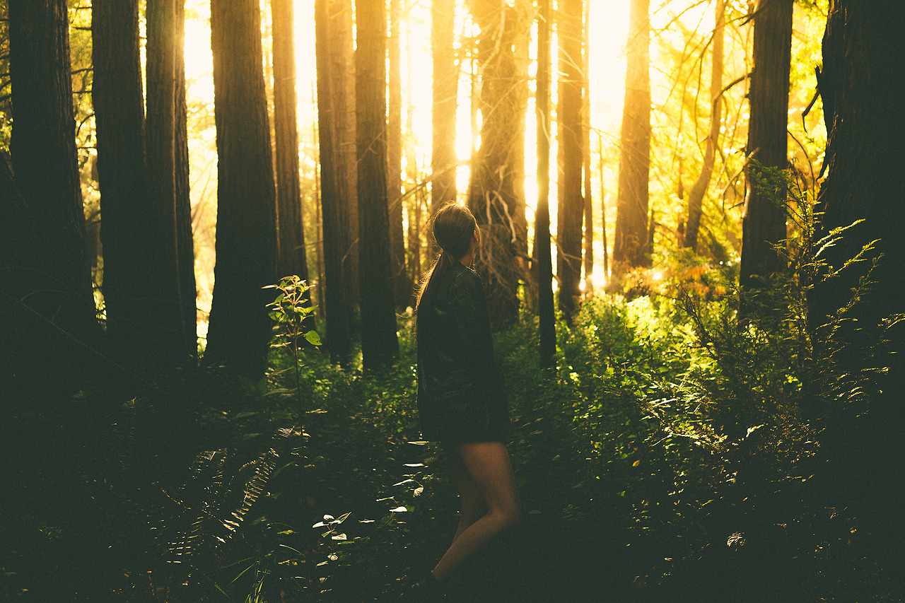 Голая блондиночка в сосновом лесу - порно фото